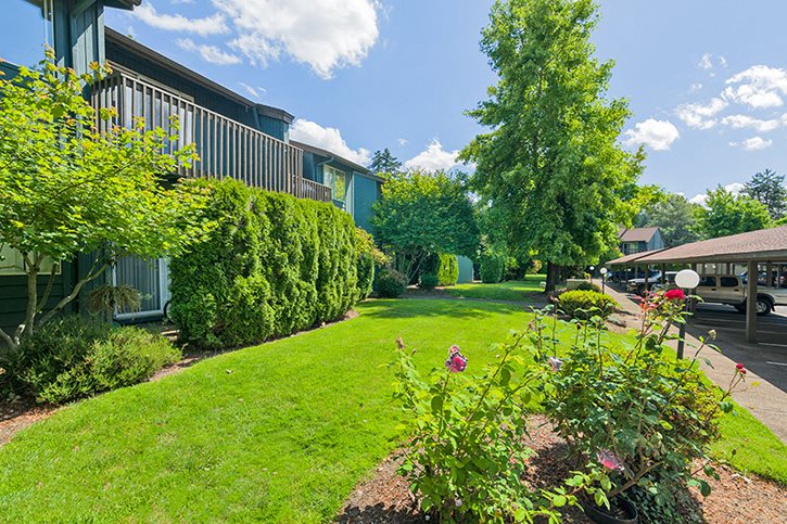 Forest Ridge Apartments Forest Ridge Apartments